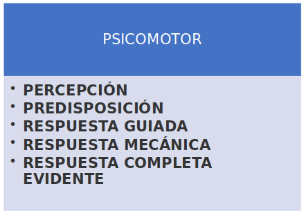 psicomotor